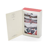 WOMENS' 5 PACK FRENCH INSPIRED BRIEFS