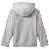 TODDLER BOYS' HOODED SWEATSHIRT