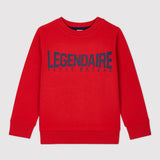 TODDLER BOYS' FLEECE SWEATSHIRT WITH SCREEN PRINT