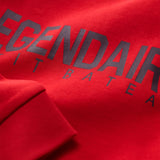 BOYS' FLEECE SWEATSHIRT WITH SCREEN PRINT