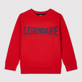 BOYS' FLEECE SWEATSHIRT WITH SCREEN PRINT